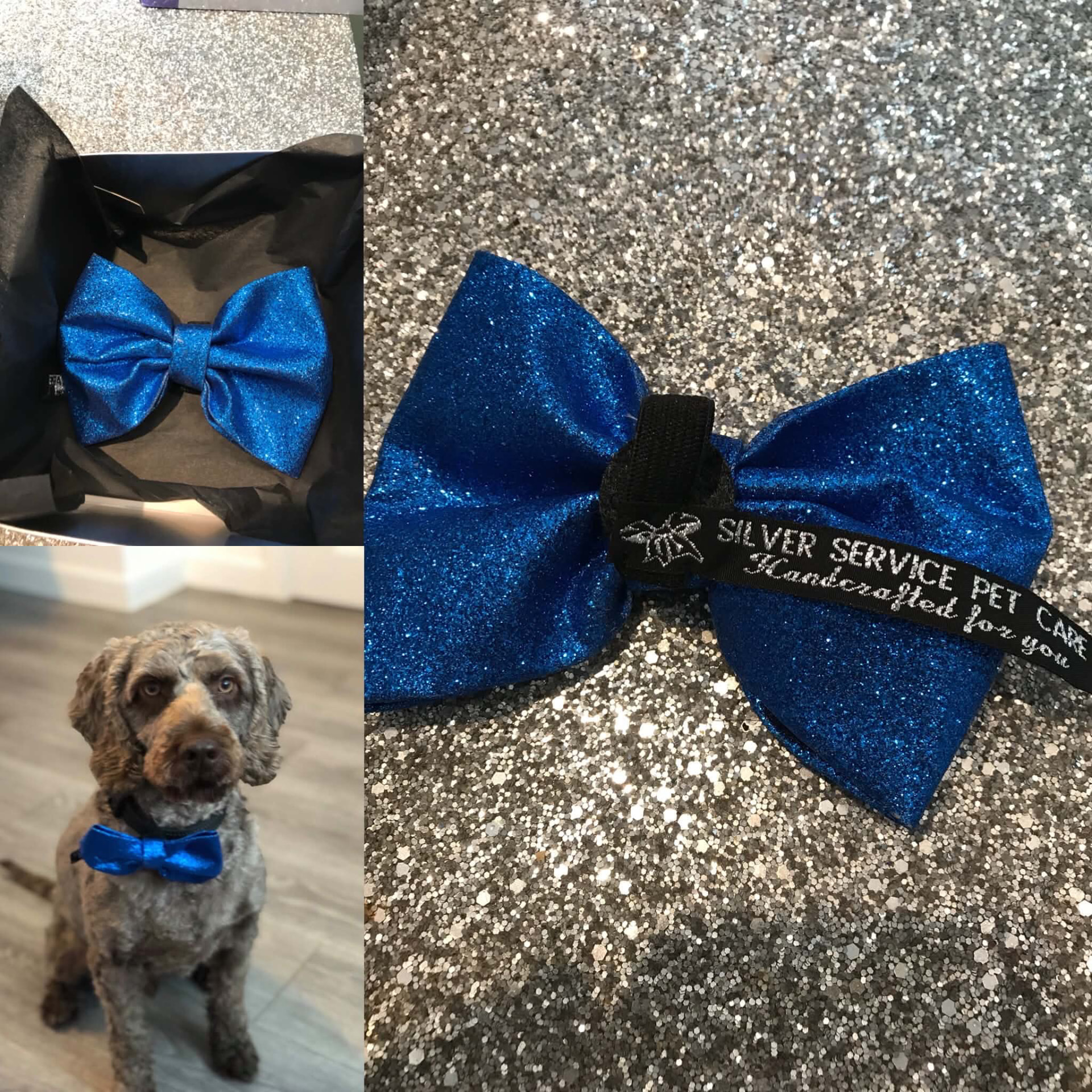 Dog wearing a blue glitter handcrafted bow tie